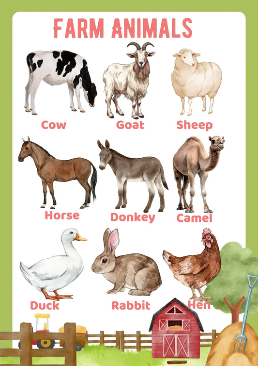 Animals Busy Binder