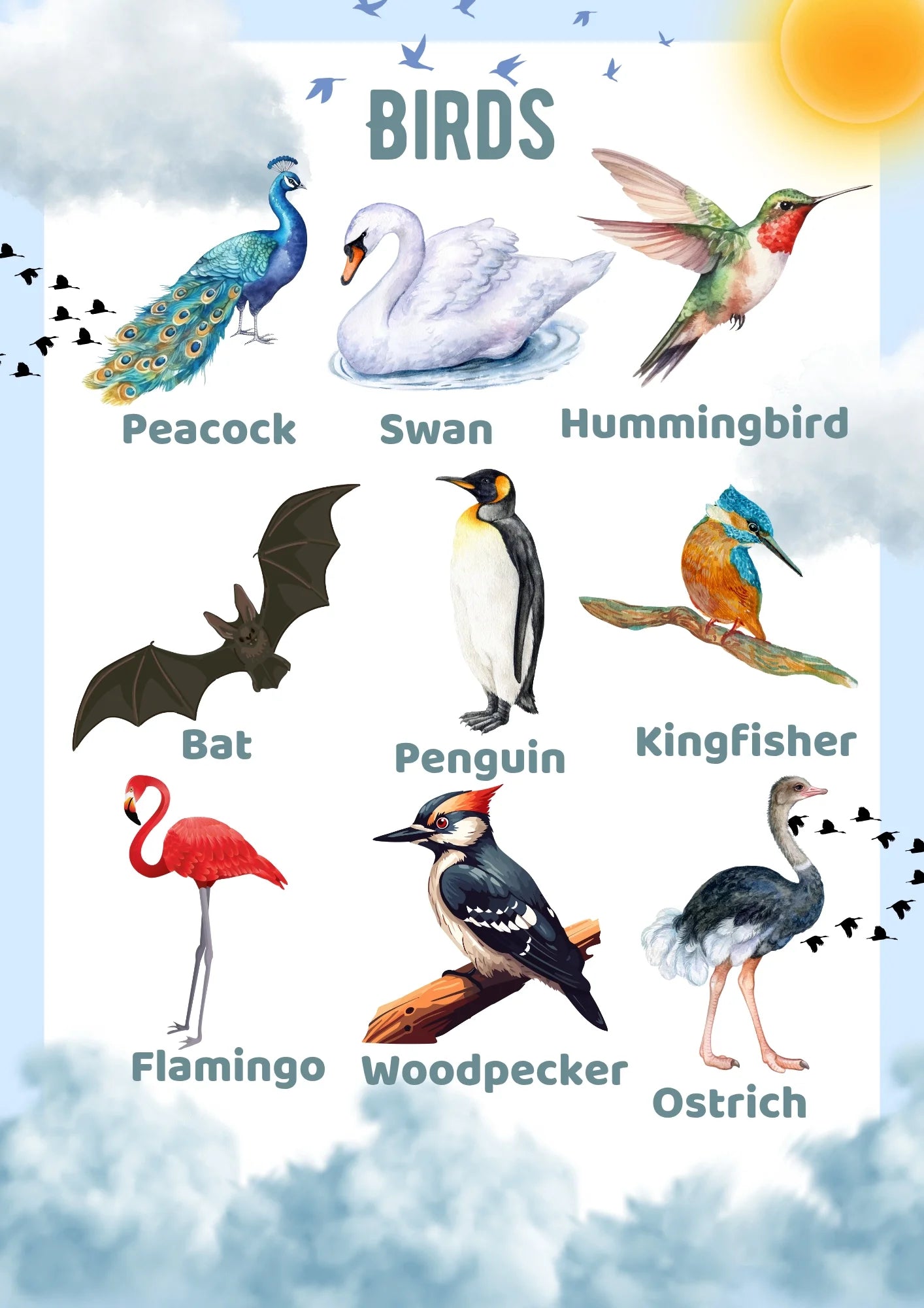 Animals Busy Binder