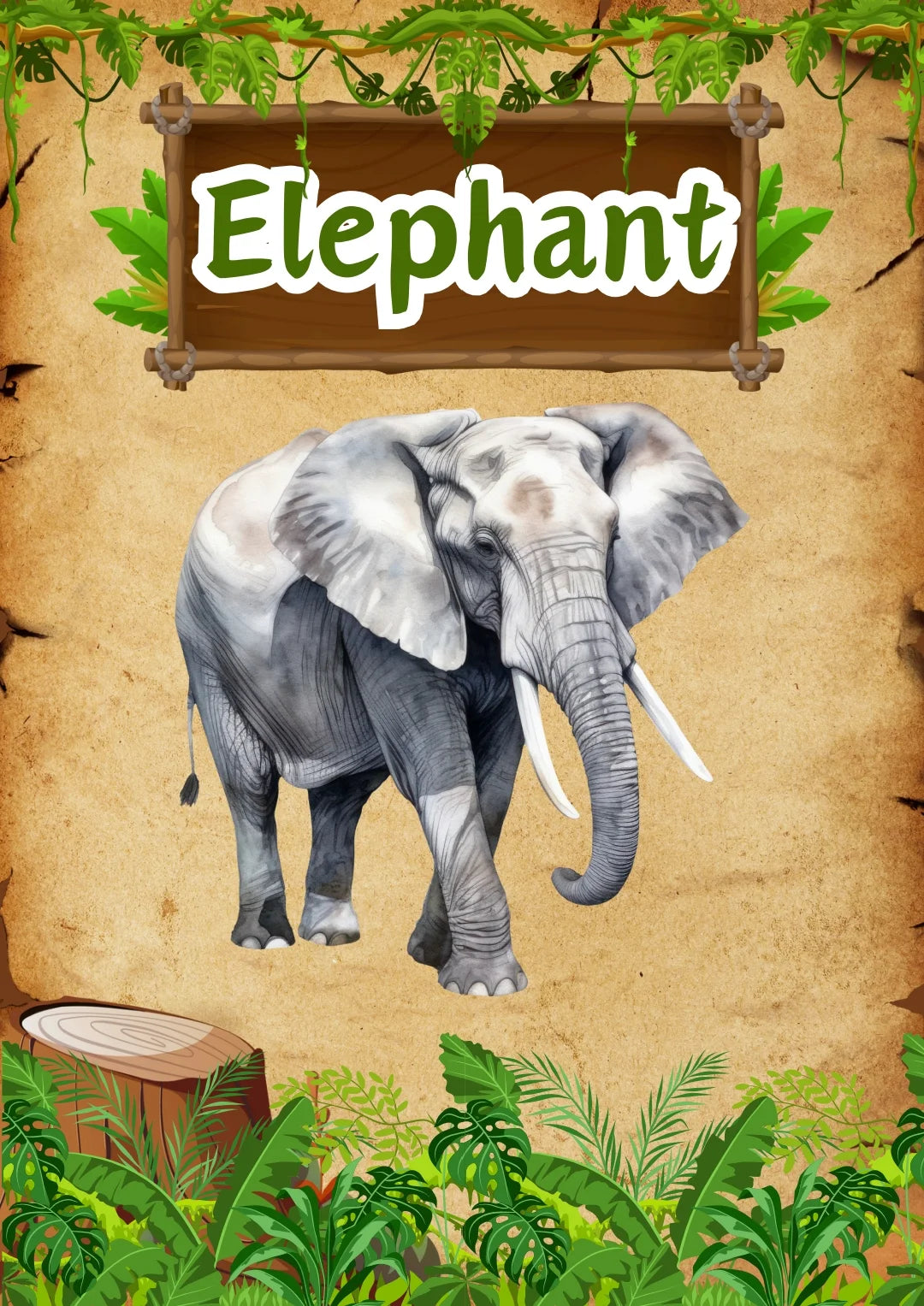 Wild Animals Flashcards