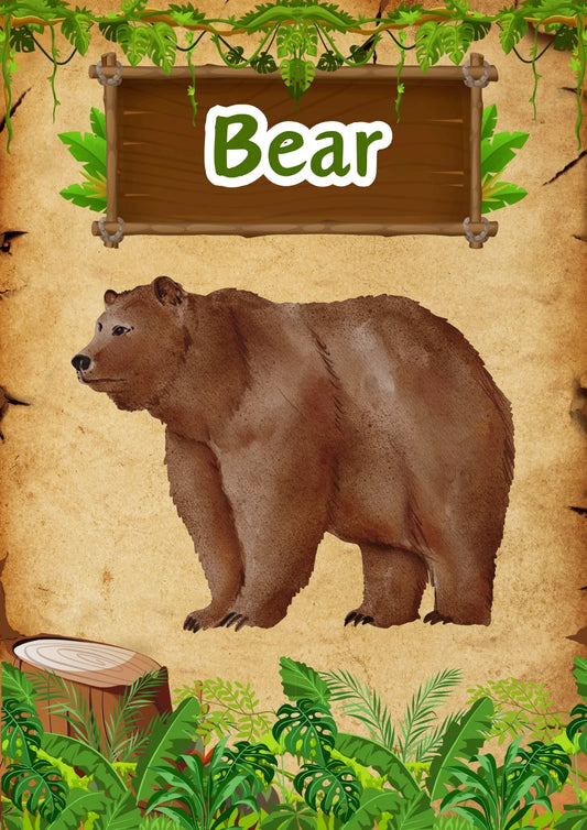 Wild Animals Flashcards