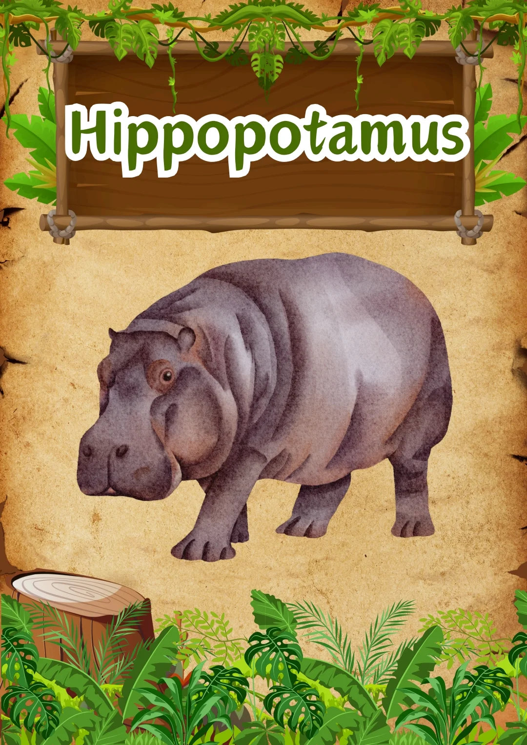 Wild Animals Flashcards