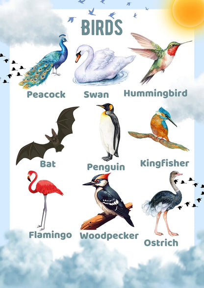 Animals Busy Binder